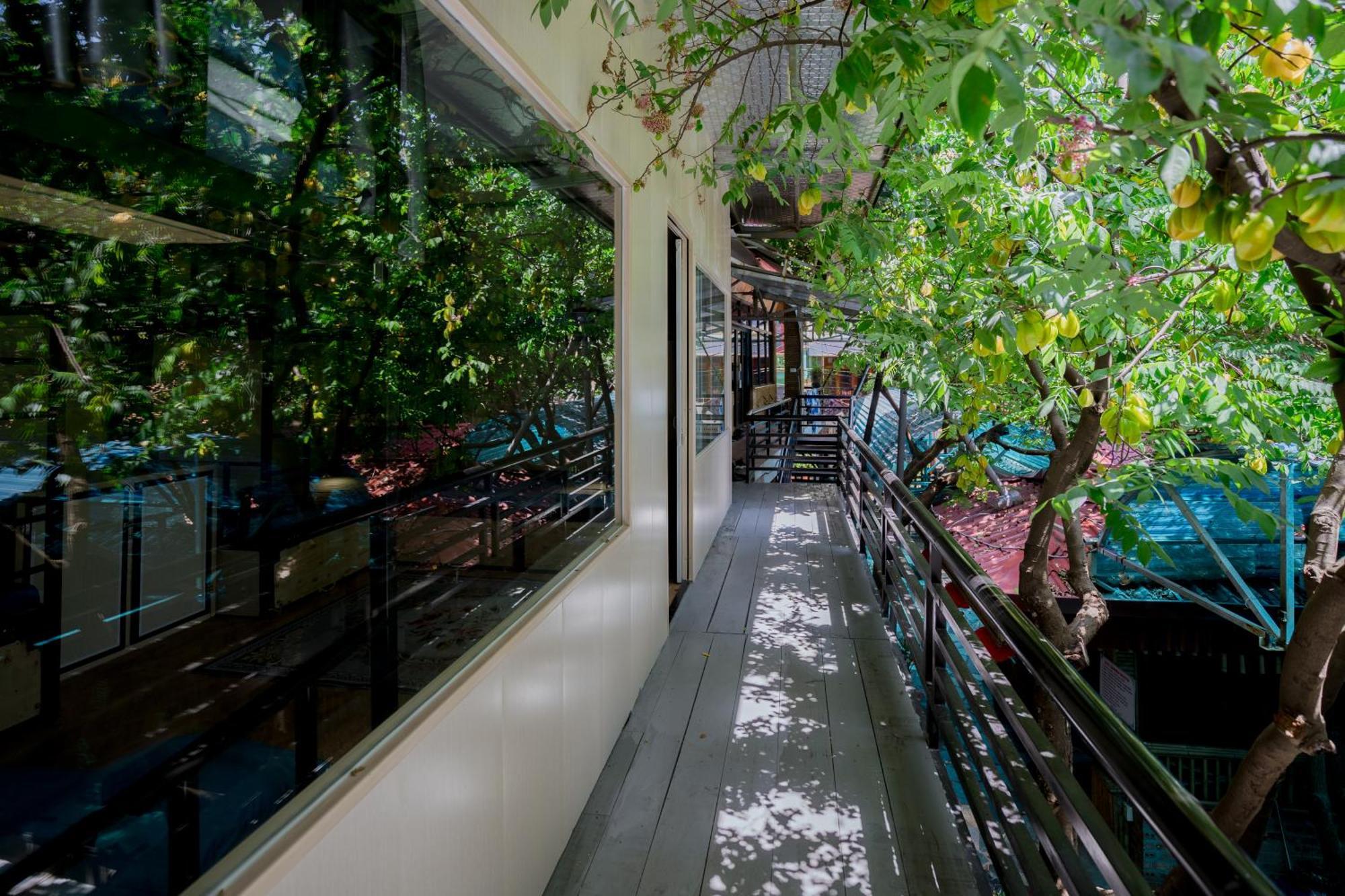 City Garden Hostel Ninh Binh Exterior photo